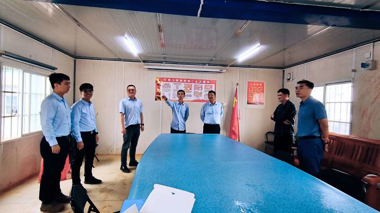 “黨建+土整”助力發(fā)展“加速度”——市環(huán)發(fā)公司黨委書記王蜂帶隊(duì)調(diào)研項(xiàng)目一線臨時(shí)黨支部建設(shè)情況